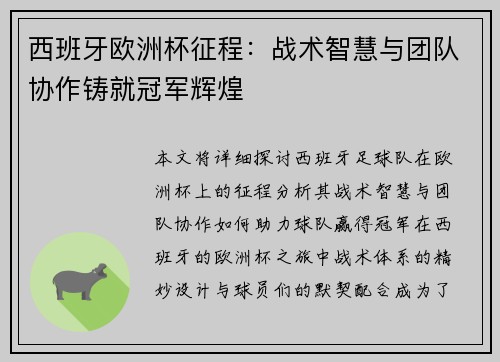 西班牙欧洲杯征程：战术智慧与团队协作铸就冠军辉煌