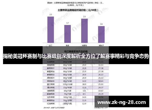 揭秘美冠杯赛制与比赛级别深度解析全方位了解赛事精彩与竞争态势
