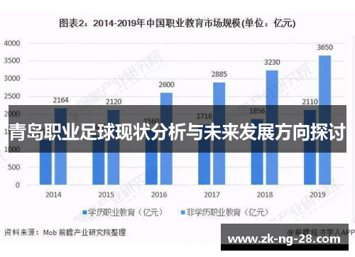 青岛职业足球现状分析与未来发展方向探讨