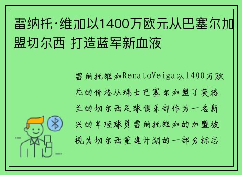 雷纳托·维加以1400万欧元从巴塞尔加盟切尔西 打造蓝军新血液 雷纳托·维加以1400万欧元从巴塞尔加盟切尔西 打造蓝军新血液