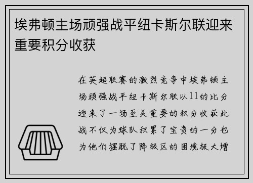 埃弗顿主场顽强战平纽卡斯尔联迎来重要积分收获